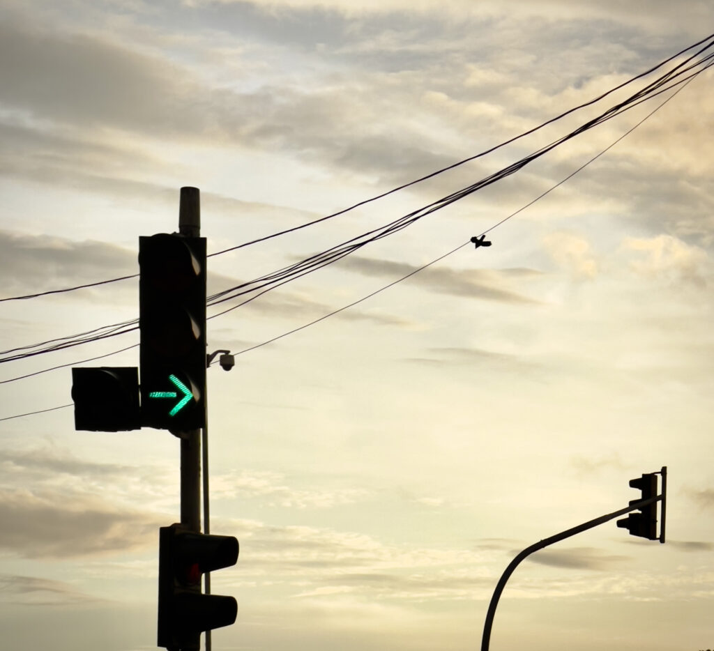 Photography of a traffic signal with a glowing green arrow, silhouetted wires, and a soft evening sky in the background.